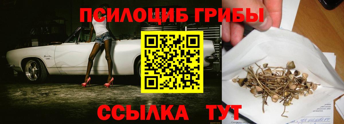 Ноябрьск  Псилоцибиновые грибы GOLDEN TEACHER  Вход с VPN 